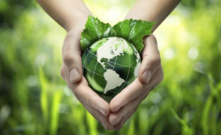 How To Teach Kids To Be More Environmentally Aware Harvard ED Center