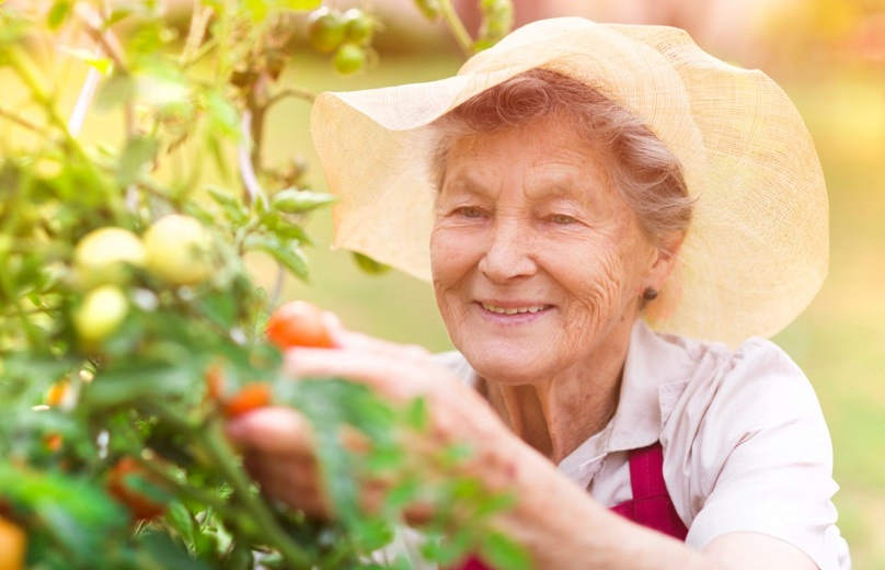 5 Ideas For Making Your Landscape Design Seniors Friendly